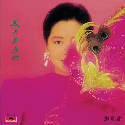 鄧麗君CD-2